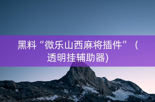黑料“微乐山西麻将插件”（透明挂辅助器)
