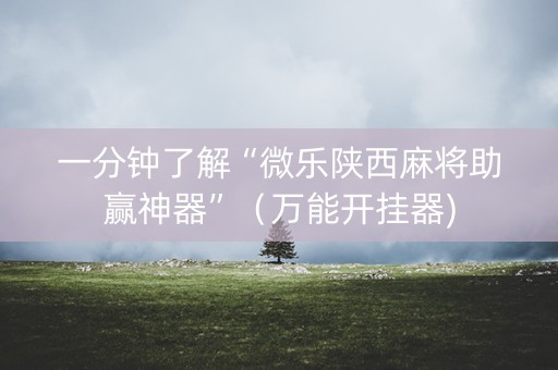 一分钟了解“微乐陕西麻将助赢神器”（万能开挂器)