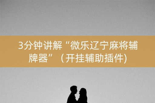 3分钟讲解“微乐辽宁麻将辅牌器”（开挂辅助插件)