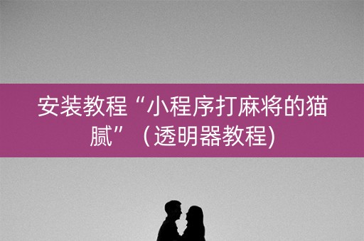 安装教程“小程序打麻将的猫腻”（透明器教程)