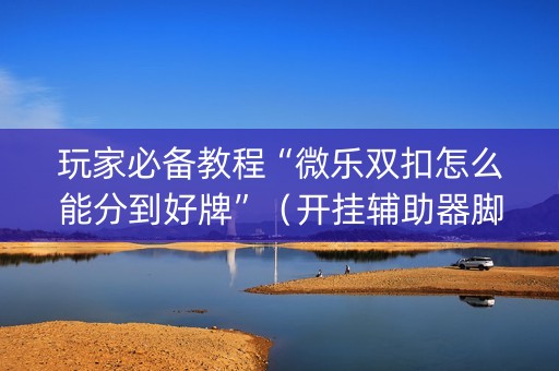 玩家必备教程“微乐双扣怎么能分到好牌”（开挂辅助器脚本)