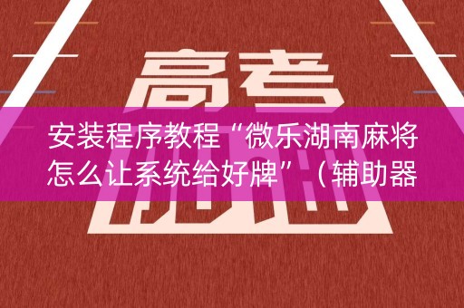 安装程序教程“微乐湖南麻将怎么让系统给好牌”（辅助器通用版)