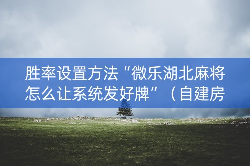 胜率设置方法“微乐湖北麻将怎么让系统发好牌”（自建房怎么赢)
