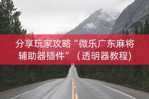 分享玩家攻略“微乐广东麻将辅助器插件”（透明器教程)