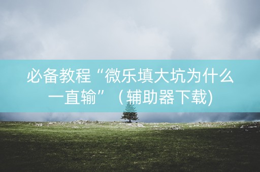 必备教程“微乐填大坑为什么一直输”（辅助器下载)