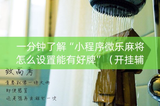 一分钟了解“小程序微乐麻将怎么设置能有好牌”（开挂辅助脚本)