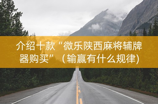介绍十款“微乐陕西麻将辅牌器购买”（输赢有什么规律)