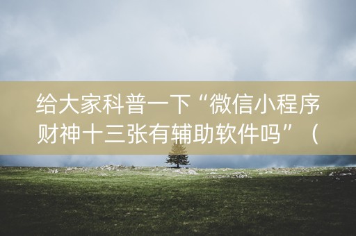 给大家科普一下“微信小程序财神十三张有辅助软件吗”（胜率到哪调)