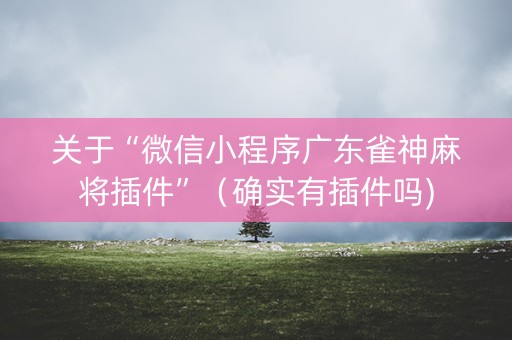 关于“微信小程序广东雀神麻将插件”（确实有插件吗)