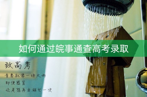 如何通过皖事通查高考录取