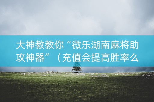 大神教教你“微乐湖南麻将助攻神器”（充值会提高胜率么)