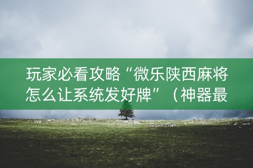 玩家必看攻略“微乐陕西麻将怎么让系统发好牌”（神器最新免费)