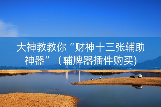 大神教教你“财神十三张辅助神器”（辅牌器插件购买)