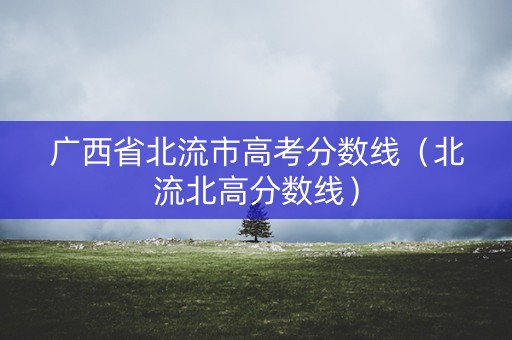 广西省北流市高考分数线（北流北高分数线）