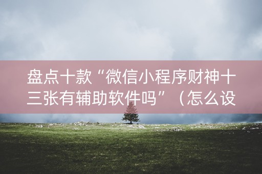 盘点十款“微信小程序财神十三张有辅助软件吗”（怎么设置才能赢)