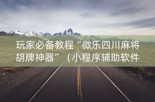 玩家必备教程“微乐四川麻将胡牌神器”（小程序辅助软件)