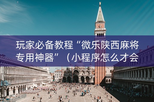 玩家必备教程“微乐陕西麻将专用神器”（小程序怎么才会赢)