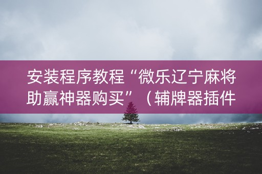 安装程序教程“微乐辽宁麻将助赢神器购买”（辅牌器插件购买)