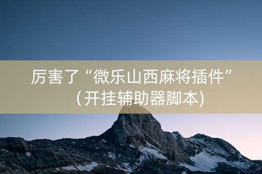 厉害了“微乐山西麻将插件”（开挂辅助器脚本)