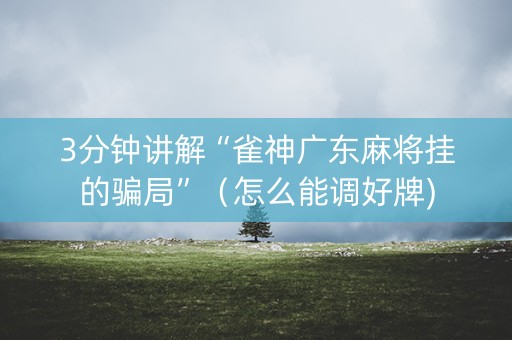 3分钟讲解“雀神广东麻将挂的骗局”（怎么能调好牌)