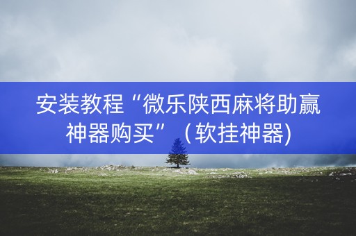 安装教程“微乐陕西麻将助赢神器购买”（软挂神器)