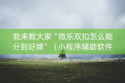 我来教大家“微乐双扣怎么能分到好牌”（小程序辅助软件)