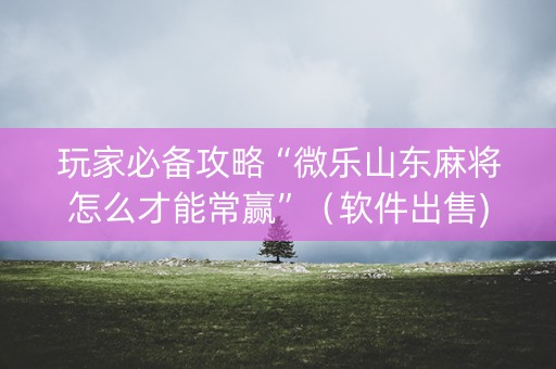 玩家必备攻略“微乐山东麻将怎么才能常赢”（软件出售)