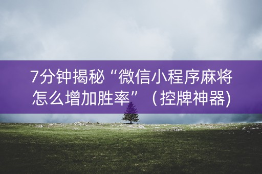 7分钟揭秘“微信小程序麻将怎么增加胜率”（控牌神器)
