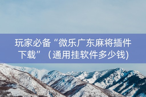 玩家必备“微乐广东麻将插件下载”（通用挂软件多少钱)