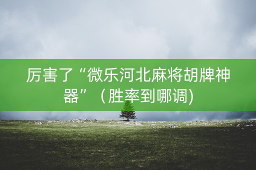 厉害了“微乐河北麻将胡牌神器”（胜率到哪调)