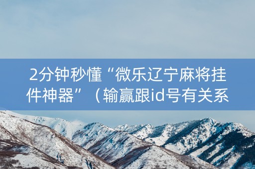 2分钟秒懂“微乐辽宁麻将挂件神器”（输赢跟id号有关系吗)