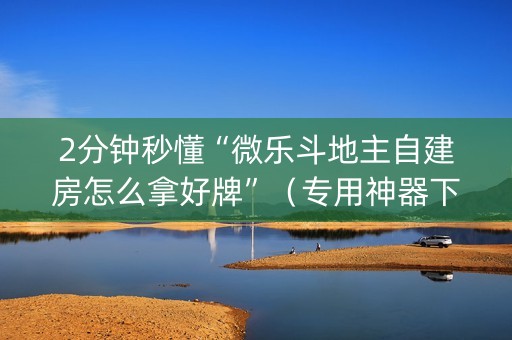 2分钟秒懂“微乐斗地主自建房怎么拿好牌”（专用神器下载)