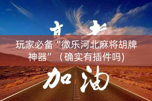 玩家必备“微乐河北麻将胡牌神器”（确实有插件吗)