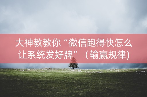 大神教教你“微信跑得快怎么让系统发好牌”（输赢规律)