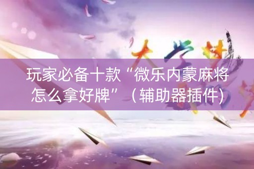 玩家必备十款“微乐内蒙麻将怎么拿好牌”（辅助器插件)