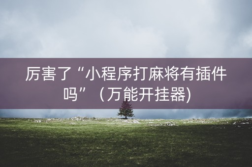 厉害了“小程序打麻将有插件吗”（万能开挂器)