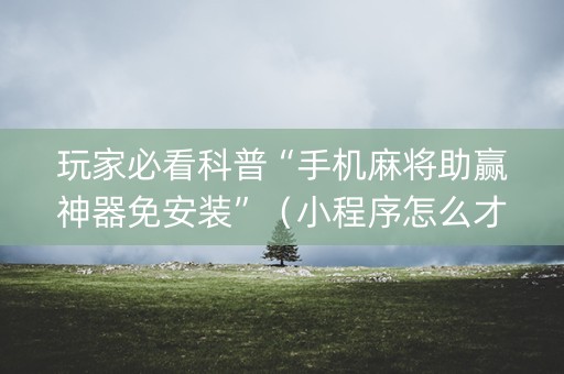 玩家必看科普“手机麻将助赢神器免安装”（小程序怎么才会赢)