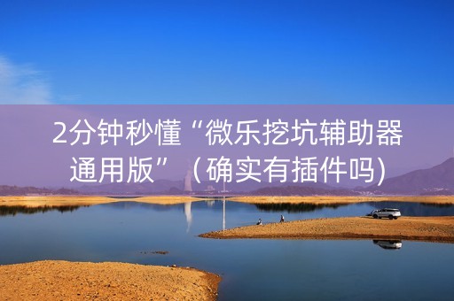 2分钟秒懂“微乐挖坑辅助器通用版”（确实有插件吗)