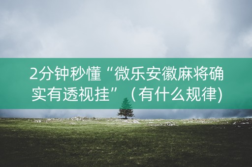 2分钟秒懂“微乐安徽麻将确实有透视挂”（有什么规律)
