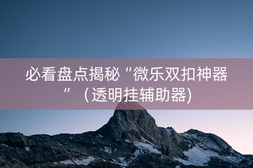 必看盘点揭秘“微乐双扣神器”（透明挂辅助器)