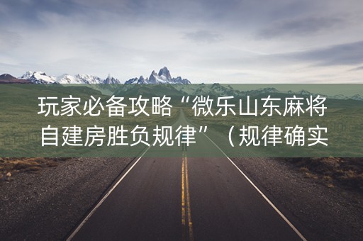 玩家必备攻略“微乐山东麻将自建房胜负规律”（规律确实有挂)