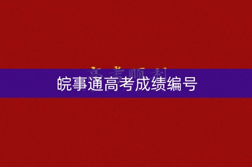 皖事通高考成绩编号