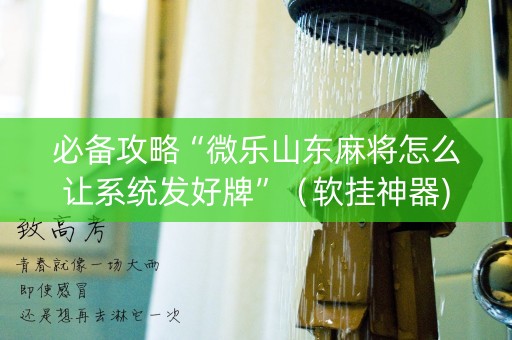 必备攻略“微乐山东麻将怎么让系统发好牌”（软挂神器)