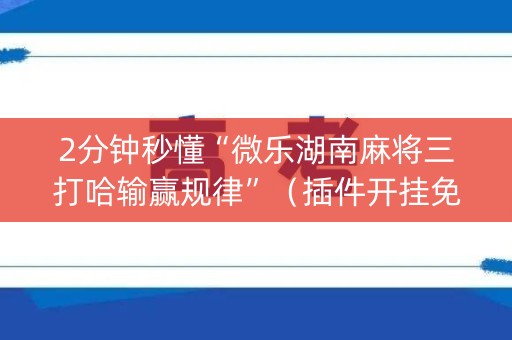 2分钟秒懂“微乐湖南麻将三打哈输赢规律”（插件开挂免费AI)