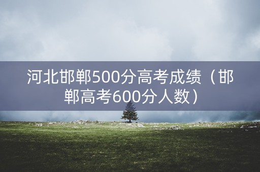 河北邯郸500分高考成绩（邯郸高考600分人数）