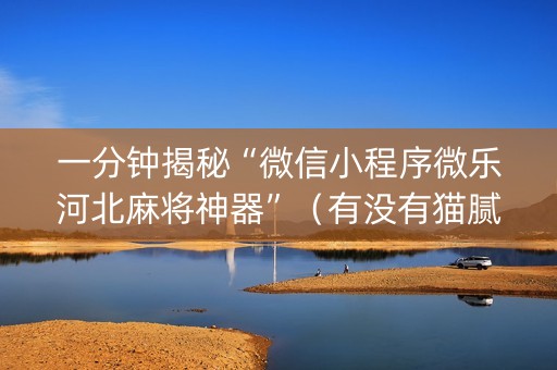 一分钟揭秘“微信小程序微乐河北麻将神器”（有没有猫腻)