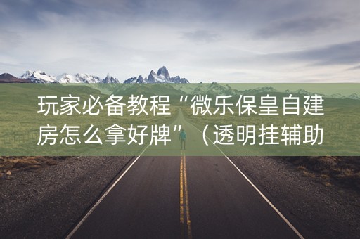 玩家必备教程“微乐保皇自建房怎么拿好牌”（透明挂辅助器)