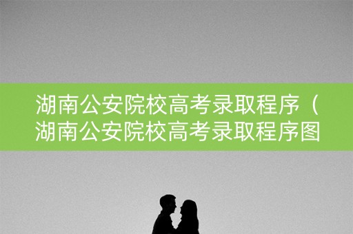 湖南公安院校高考录取程序（湖南公安院校高考录取程序图）