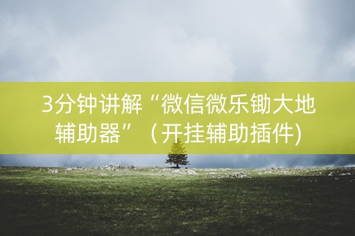 3分钟讲解“微信微乐锄大地辅助器”（开挂辅助插件)