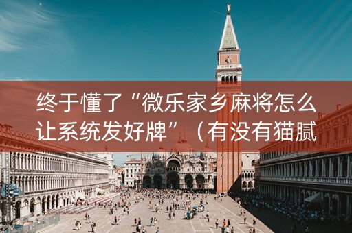 终于懂了“微乐家乡麻将怎么让系统发好牌”（有没有猫腻)